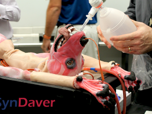 SynDaver Canine Header - Veterinary PR - Marketing - Video production
